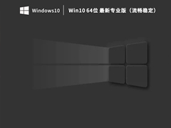 萝卜家园Win10 64位 22H2最新专业版