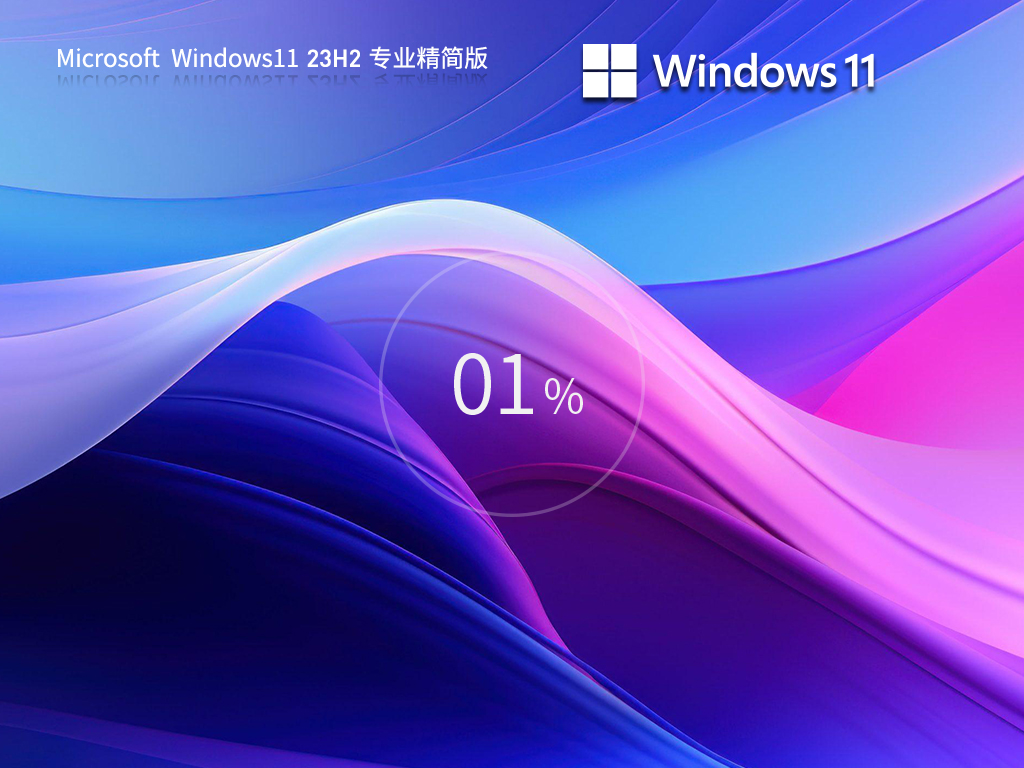 深度技术Windows11 23H2专业精简版