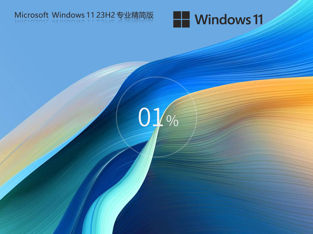 萝卜家园Windows11 23H2专业精简版