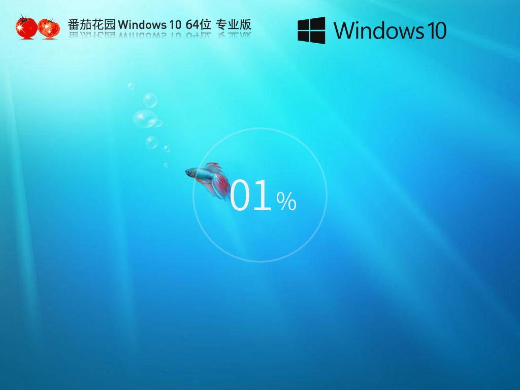 番茄花园 Windows10 64位 官方专业版